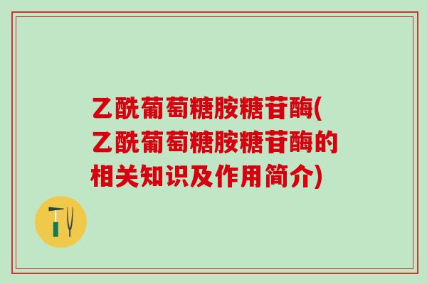 乙酰葡萄糖胺糖苷酶(乙酰葡萄糖胺糖苷酶的相关知识及作用简介)