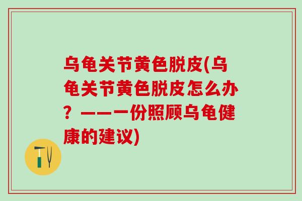 乌龟关节黄色脱皮(乌龟关节黄色脱皮怎么办？——一份照顾乌龟健康的建议)