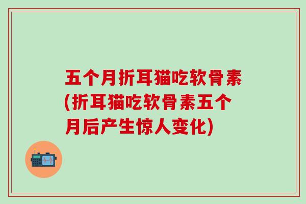 五个月折耳猫吃软骨素(折耳猫吃软骨素五个月后产生惊人变化)