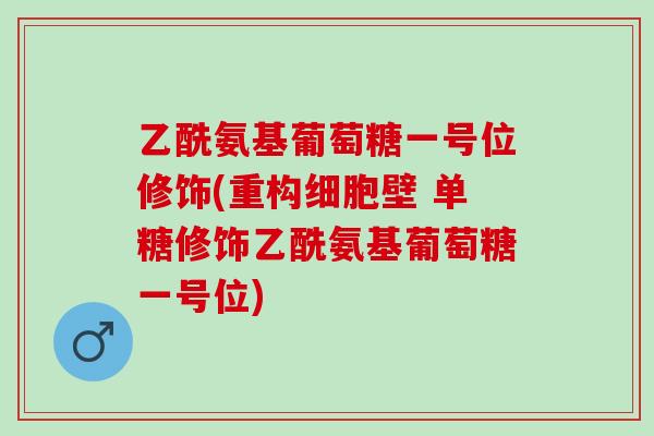 乙酰氨基葡萄糖一号位修饰(重构细胞壁 单糖修饰乙酰氨基葡萄糖一号位)