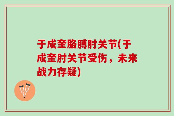 于成奎胳膊肘关节(于成奎肘关节受伤，未来战力存疑)