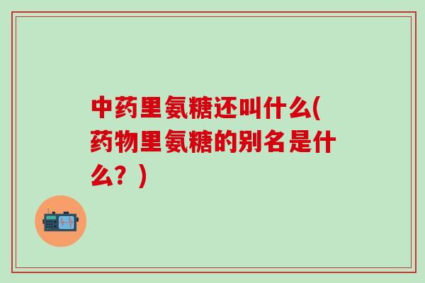 中药里氨糖还叫什么(药物里氨糖的别名是什么？)