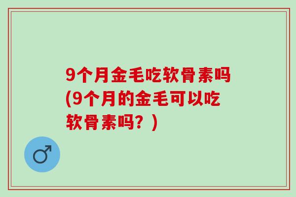 9个月金毛吃软骨素吗(9个月的金毛可以吃软骨素吗？)
