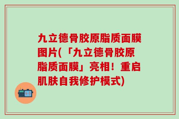 九立德骨胶原脂质面膜图片(「九立德骨胶原脂质面膜」亮相！重启肌肤自我修护模式)