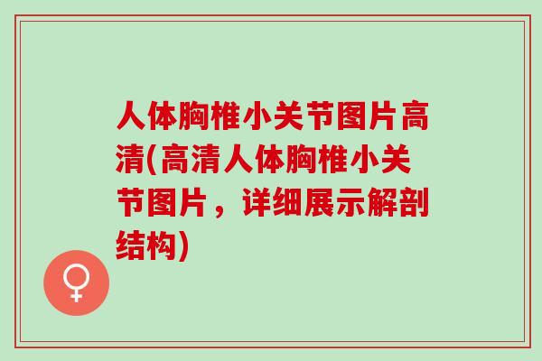 人体胸椎小关节图片高清(高清人体胸椎小关节图片，详细展示解剖结构)