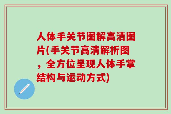 人体手关节图解高清图片(手关节高清解析图，全方位呈现人体手掌结构与运动方式)