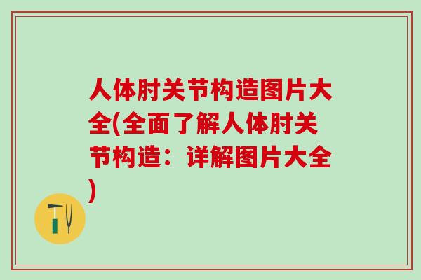 人体肘关节构造图片大全(全面了解人体肘关节构造：详解图片大全)
