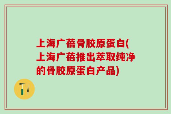上海广蓓骨胶原蛋白(上海广蓓推出萃取纯净的骨胶原蛋白产品)