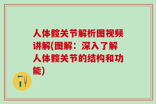 人体髋关节解析图视频讲解(图解：深入了解人体髋关节的结构和功能)