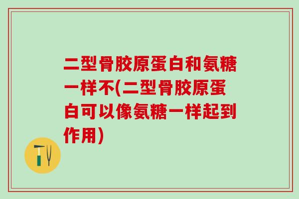 二型骨胶原蛋白和氨糖一样不(二型骨胶原蛋白可以像氨糖一样起到作用)