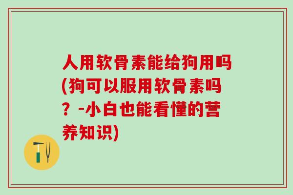人用软骨素能给狗用吗(狗可以服用软骨素吗？-小白也能看懂的营养知识)