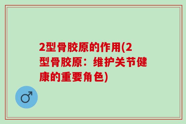 2型骨胶原的作用(2型骨胶原：维护关节健康的重要角色)