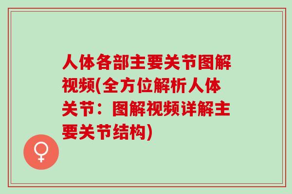 人体各部主要关节图解视频(全方位解析人体关节：图解视频详解主要关节结构)