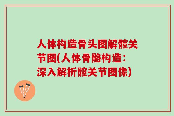 人体构造骨头图解髋关节图(人体骨骼构造：深入解析髋关节图像)