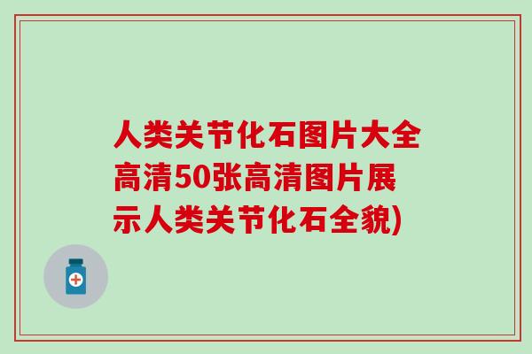人类关节化石图片大全高清50张高清图片展示人类关节化石全貌)