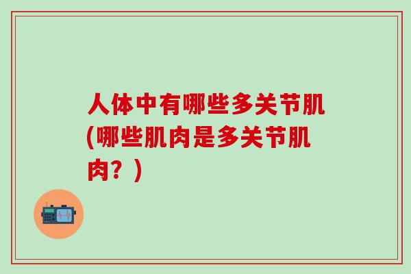 人体中有哪些多关节肌(哪些肌肉是多关节肌肉？)