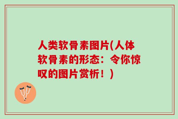 人类软骨素图片(人体软骨素的形态：令你惊叹的图片赏析！)