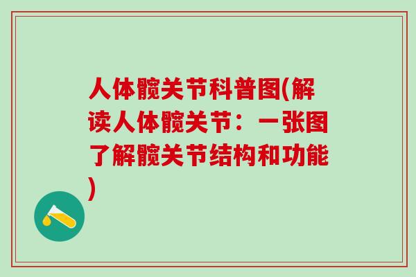 人体髋关节科普图(解读人体髋关节：一张图了解髋关节结构和功能)