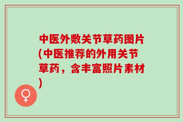 中医外敷关节草药图片(中医推荐的外用关节草药，含丰富照片素材)