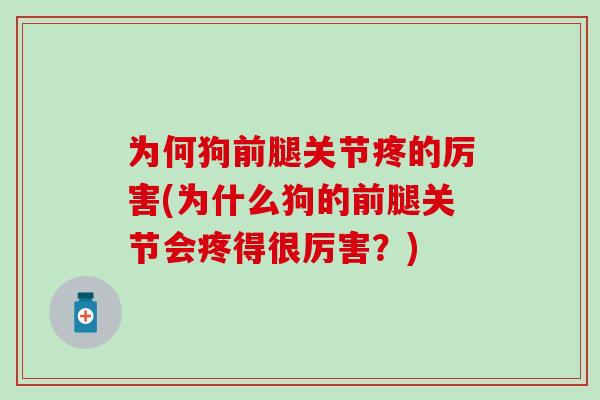 为何狗前腿关节疼的厉害(为什么狗的前腿关节会疼得很厉害？)