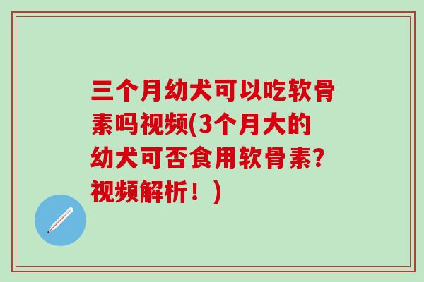 三个月幼犬可以吃软骨素吗视频(3个月大的幼犬可否食用软骨素？视频解析！)