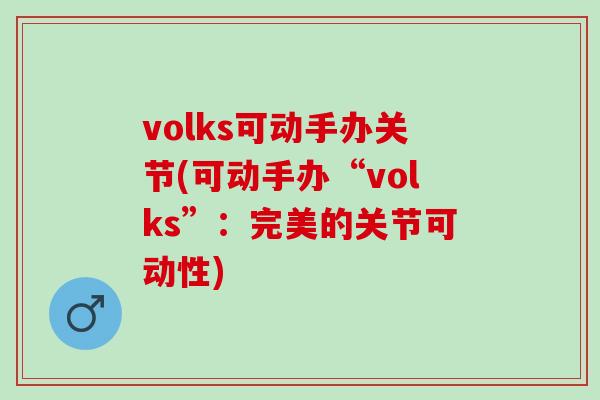 volks可动手办关节(可动手办“volks”：完美的关节可动性)