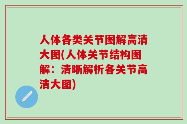 人体各类关节图解高清大图(人体关节结构图解：清晰解析各关节高清大图)
