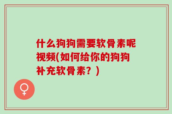 什么狗狗需要软骨素呢视频(如何给你的狗狗补充软骨素？)
