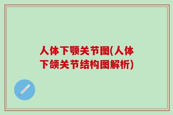 人体下颚关节图(人体下颌关节结构图解析)
