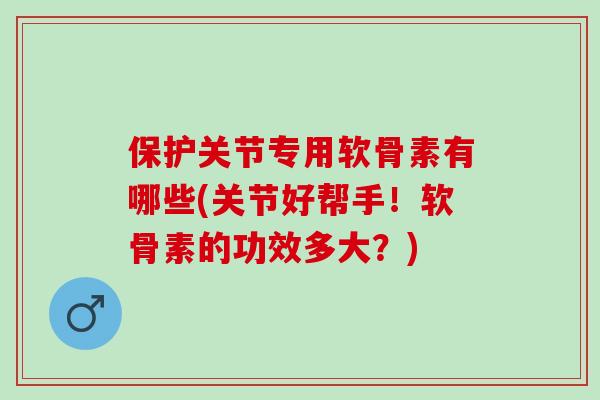 保护关节专用软骨素有哪些(关节好帮手！软骨素的功效多大？)
