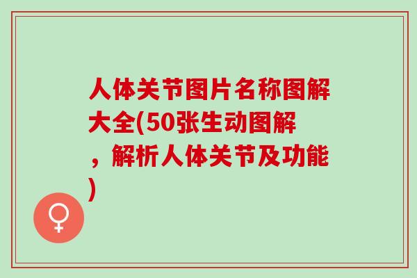 人体关节图片名称图解大全(50张生动图解，解析人体关节及功能)