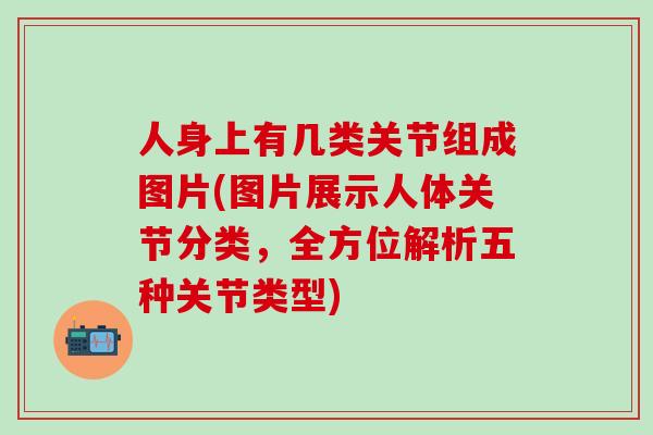 人身上有几类关节组成图片(图片展示人体关节分类，全方位解析五种关节类型)