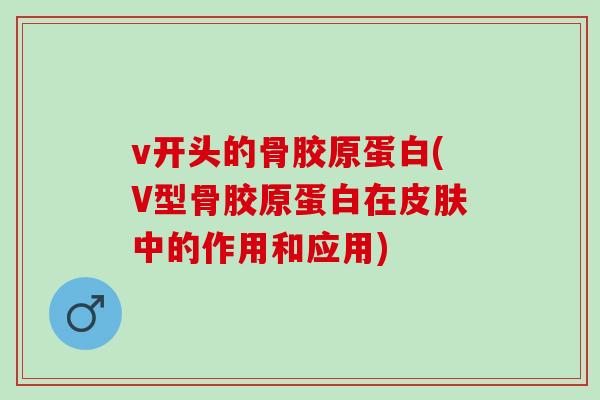 v开头的骨胶原蛋白(V型骨胶原蛋白在皮肤中的作用和应用)