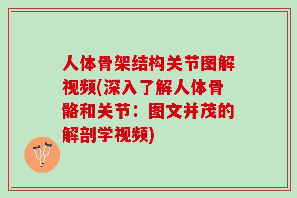 人体骨架结构关节图解视频(深入了解人体骨骼和关节：图文并茂的解剖学视频)