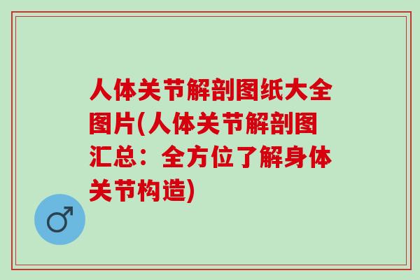 人体关节解剖图纸大全图片(人体关节解剖图汇总：全方位了解身体关节构造)
