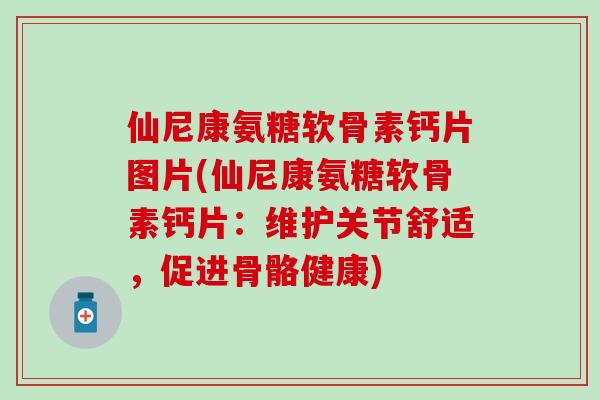 仙尼康氨糖软骨素钙片图片(仙尼康氨糖软骨素钙片：维护关节舒适，促进骨骼健康)