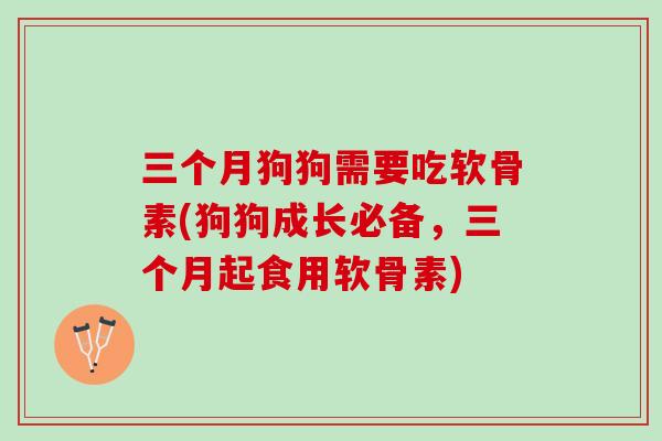三个月狗狗需要吃软骨素(狗狗成长必备，三个月起食用软骨素)