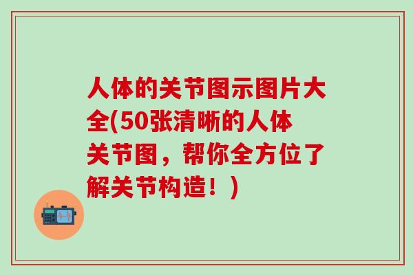 人体的关节图示图片大全(50张清晰的人体关节图，帮你全方位了解关节构造！)