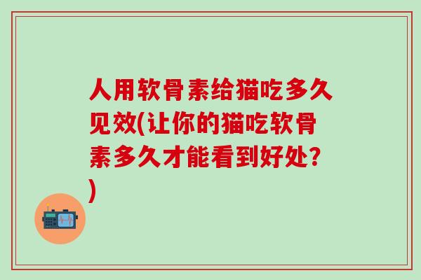 人用软骨素给猫吃多久见效(让你的猫吃软骨素多久才能看到好处？)