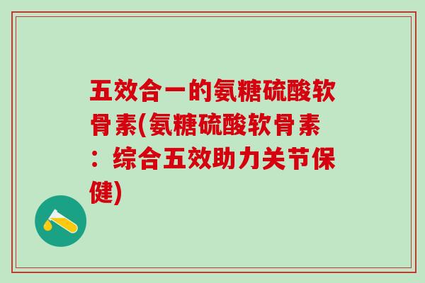 五效合一的氨糖硫酸软骨素(氨糖硫酸软骨素：综合五效助力关节保健)