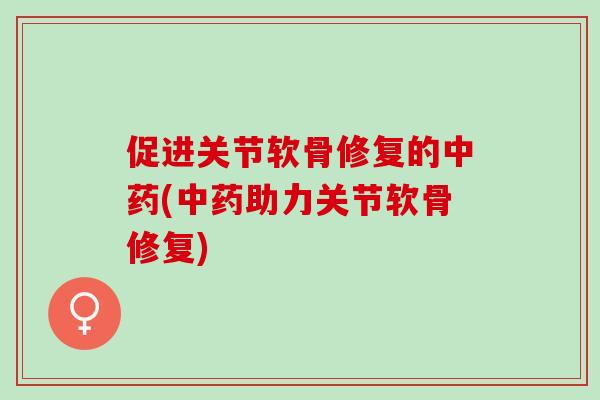 促进关节软骨修复的中药(中药助力关节软骨修复)