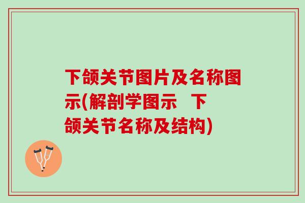 下颌关节图片及名称图示(解剖学图示  下颌关节名称及结构)