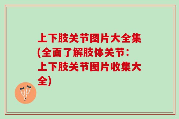 上下肢关节图片大全集(全面了解肢体关节：上下肢关节图片收集大全)