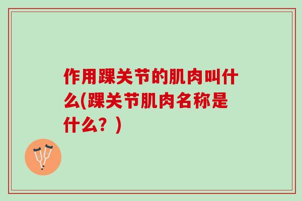 作用踝关节的肌肉叫什么(踝关节肌肉名称是什么？)