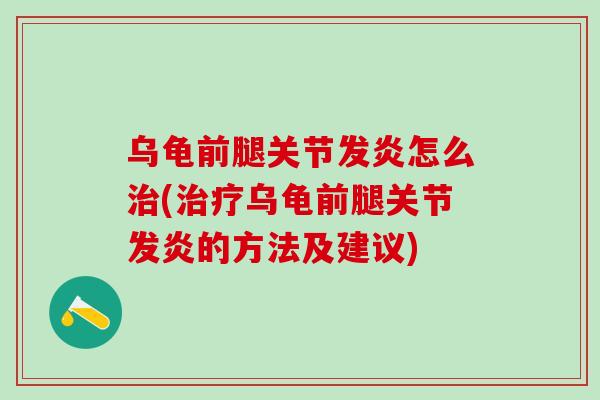 乌龟前腿关节发炎怎么治(治疗乌龟前腿关节发炎的方法及建议)