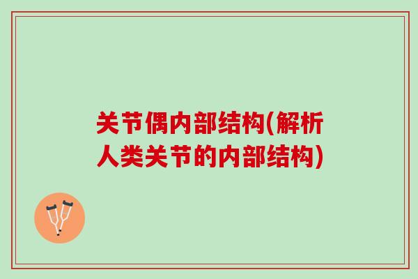 关节偶内部结构(解析人类关节的内部结构)
