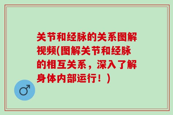 关节和经脉的关系图解视频(图解关节和经脉的相互关系，深入了解身体内部运行！)