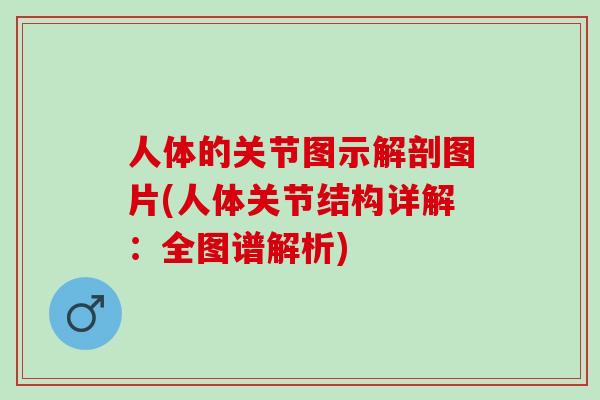 人体的关节图示解剖图片(人体关节结构详解：全图谱解析)