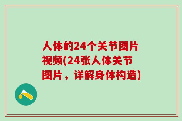 人体的24个关节图片视频(24张人体关节图片，详解身体构造)