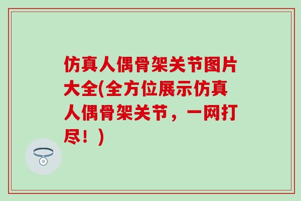 仿真人偶骨架关节图片大全(全方位展示仿真人偶骨架关节，一网打尽！)